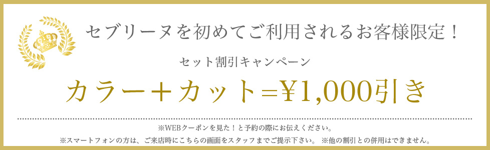 札幌市平岸の美容室セブリーヌのカラーカットセットメニュークーポン