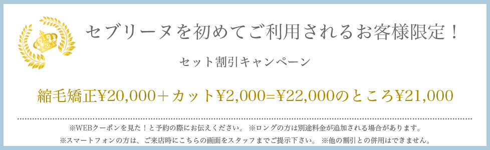 札幌市平岸の美容室セブリーヌのカラーカットセットメニュークーポン2