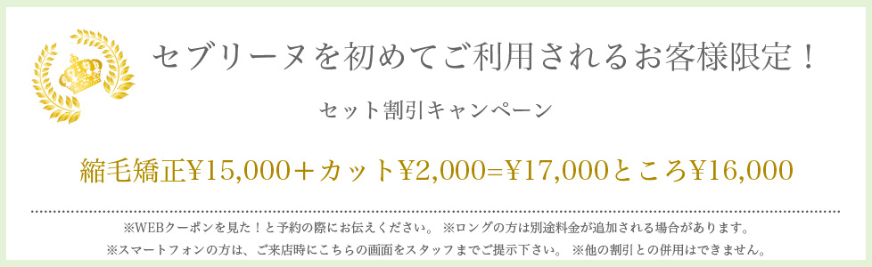 札幌市平岸の美容室セブリーヌの縮毛矯正セットメニュークーポン